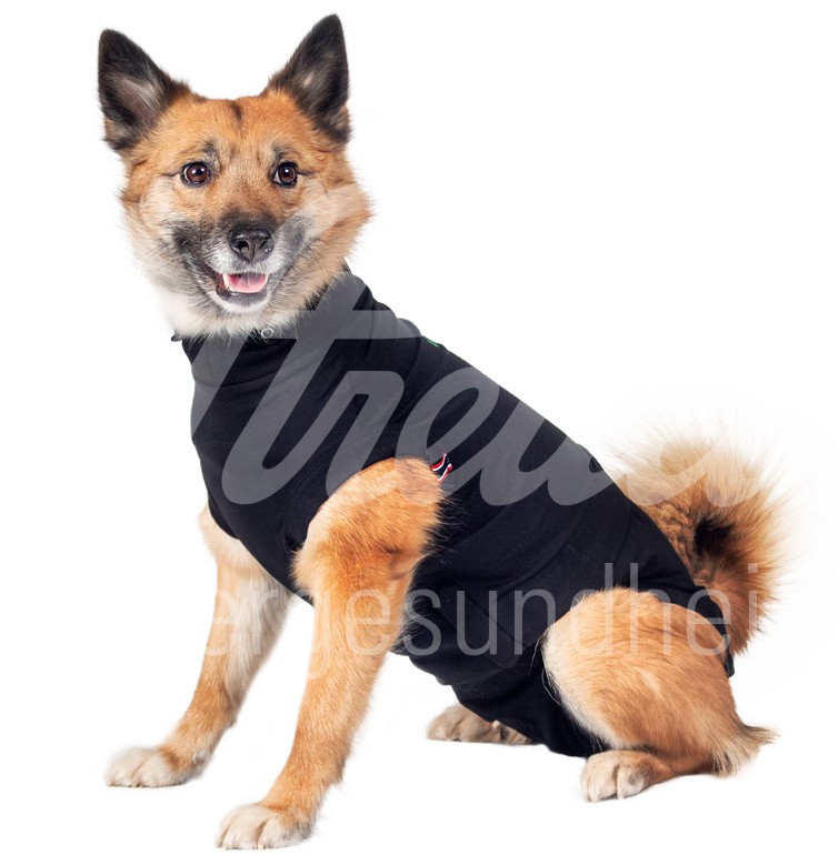 WDT Post-OP Body Premium Hund Grösse L 1 Stück WDT Post-OP Body Premium Hund Grösse L 1 Stück