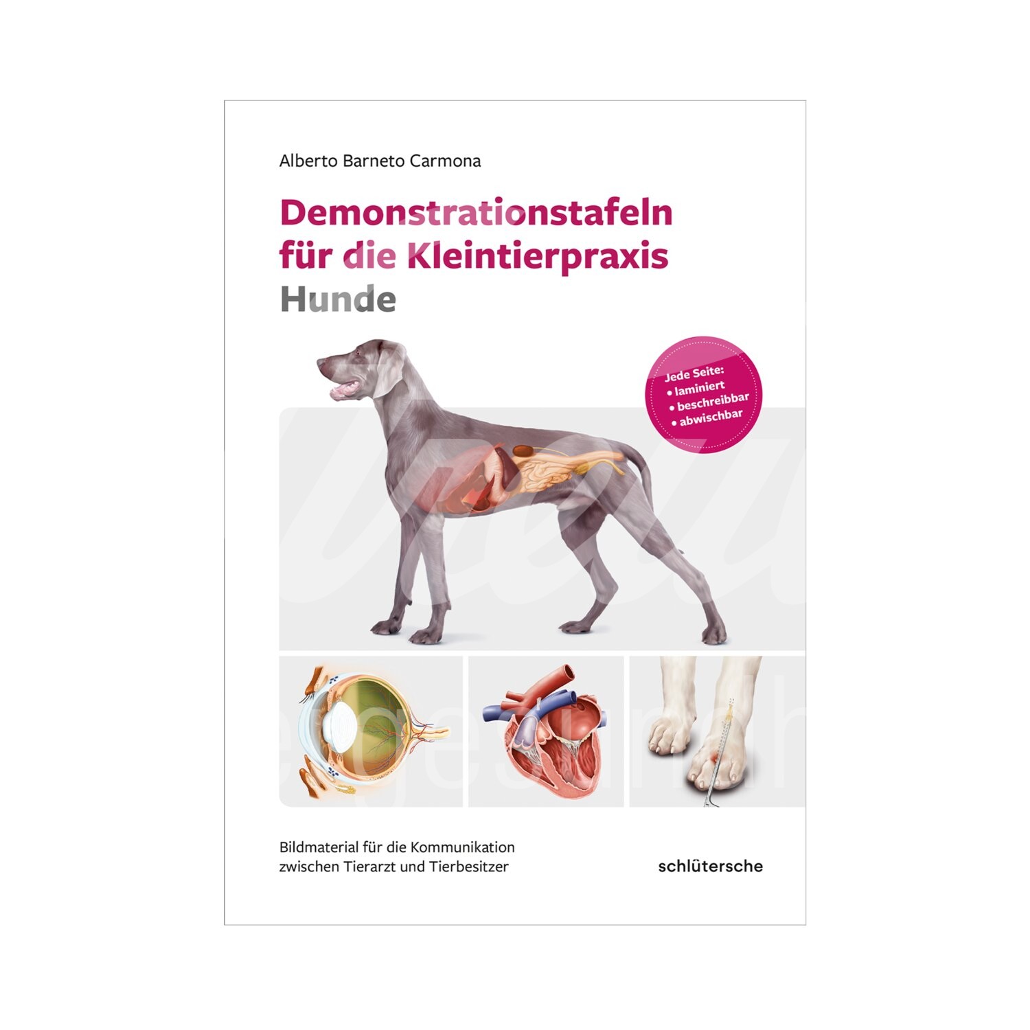 Demonstrationstafeln für die Kleintierpraxis Hunde 1 Stück