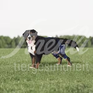 Balto BT JUMP Links Grösse XL Knieorthese 1 Stück