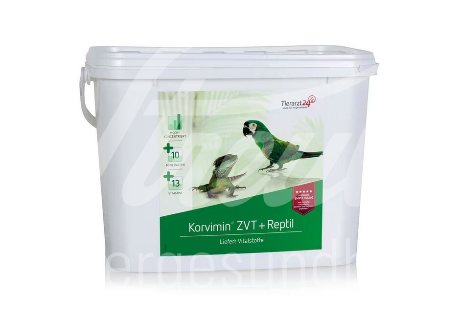 Tierarzt24 Korvimin ZVT+Reptil 5 kg Eimer