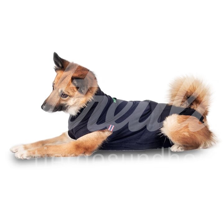 WDT Post-OP Body Premium Hund Grösse S Long 1 Stück WDT Post-OP Body Premium Hund Grösse S Long 1 Stück