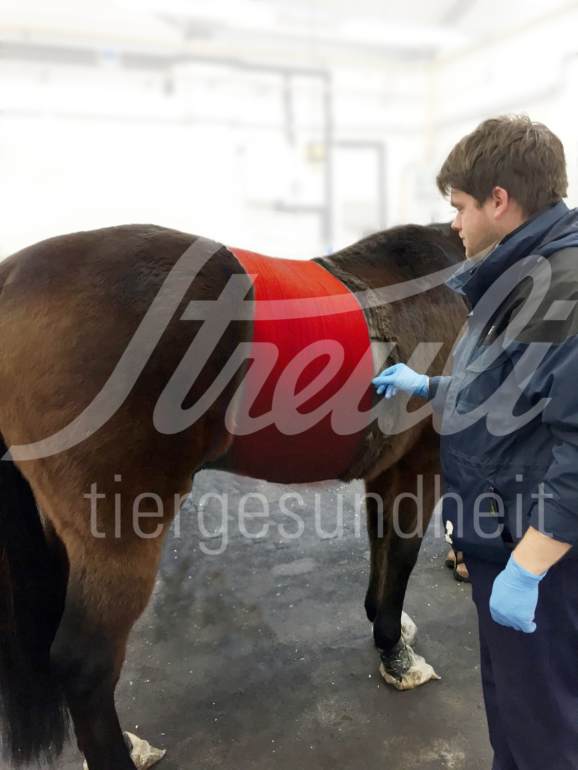 KRUUSE Vet Flex Bandage selbstkl. 15cm x 15m rot 4 Stk.