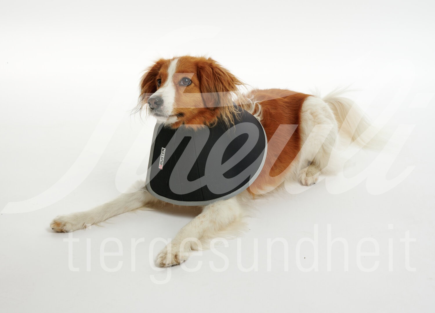 BUSTER Halskragen Foam Klett-Verschl. 7.5 cm 5 Stk. BUSTER Halskragen Foam Klett-Verschl. 7.5 cm 5 Stk.