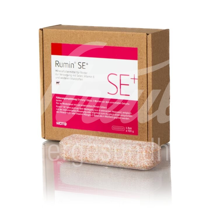 Rumin SE+ 4 Boli à 100 g