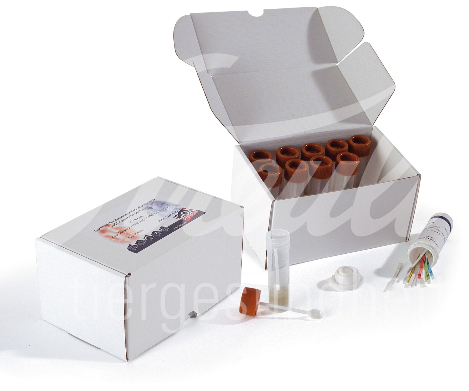 Kälberdurchfalltest Bio-X Rainbow 5 Stück