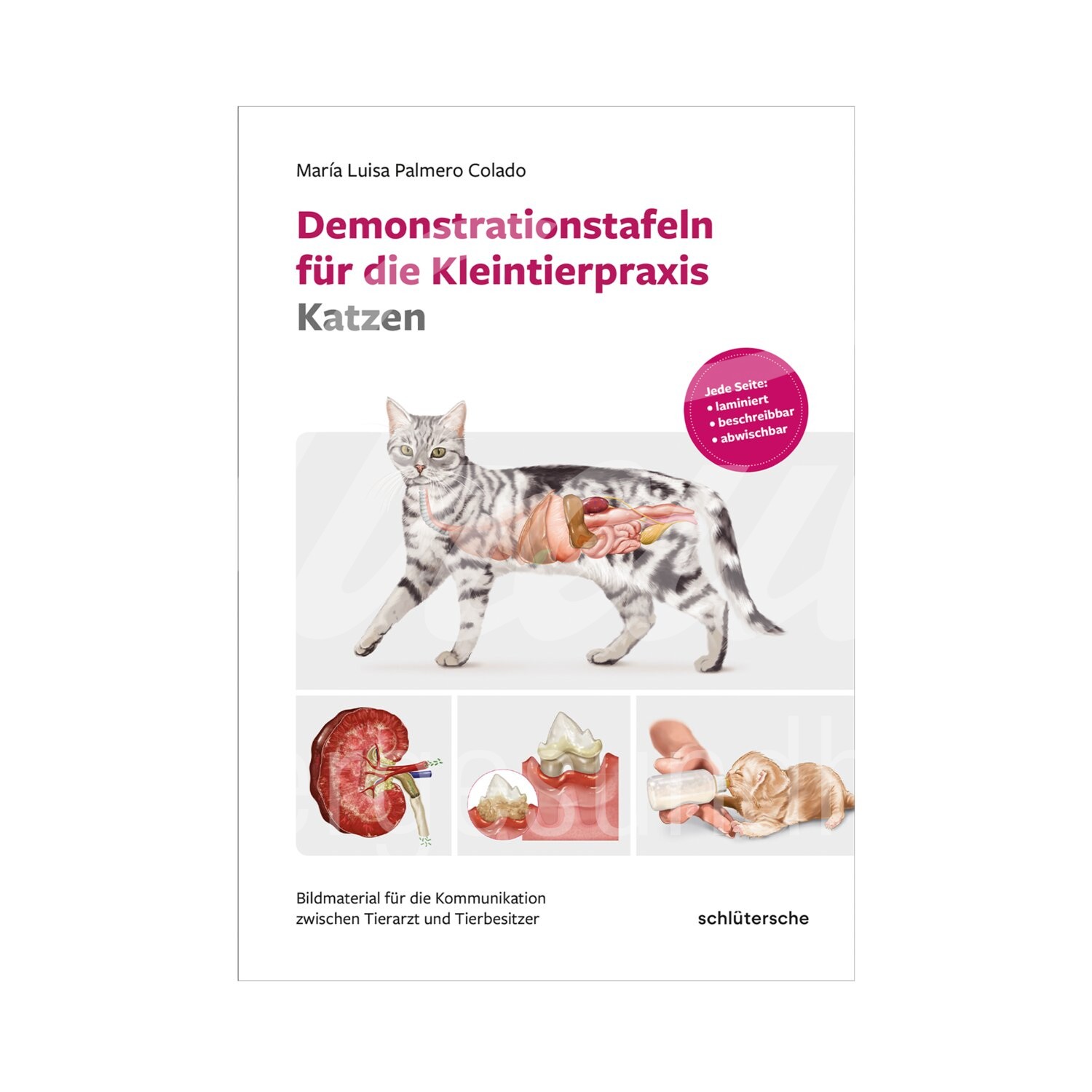 Demonstrationstafeln für die Kleintierpraxis Katzen 1 Stück