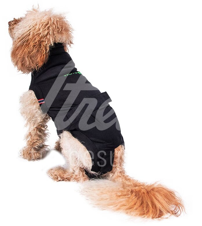 WDT Post-OP Body Premium Hund Grösse S Long 1 Stück WDT Post-OP Body Premium Hund Grösse S Long 1 Stück