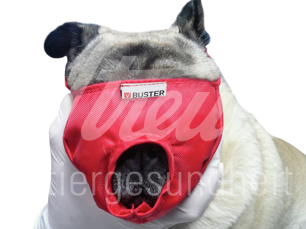 BUSTER Vet Nylon Maulkorb f. brachyocephalen Hund Gr.S 1 Stk BUSTER Vet Nylon Maulkorb f. brachyocephalen Hund Gr.S 1 Stk