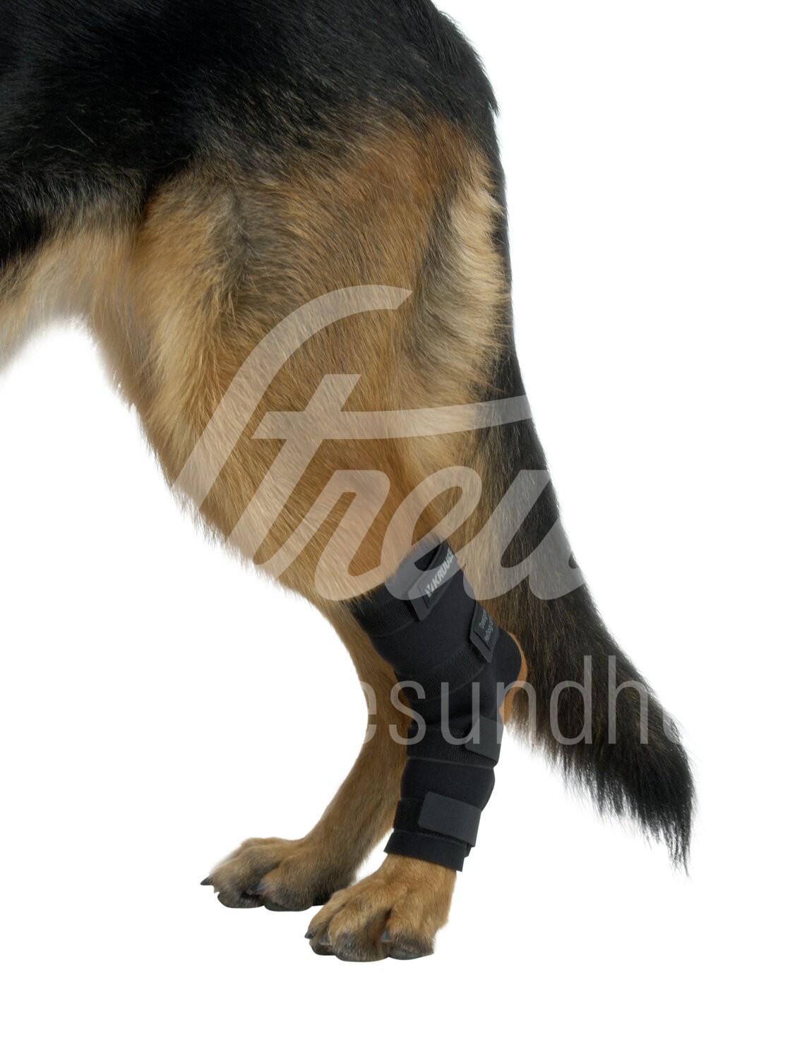 KRUUSE Rehab Hund Sprunggelenkschutz Gr. L 1 Stück