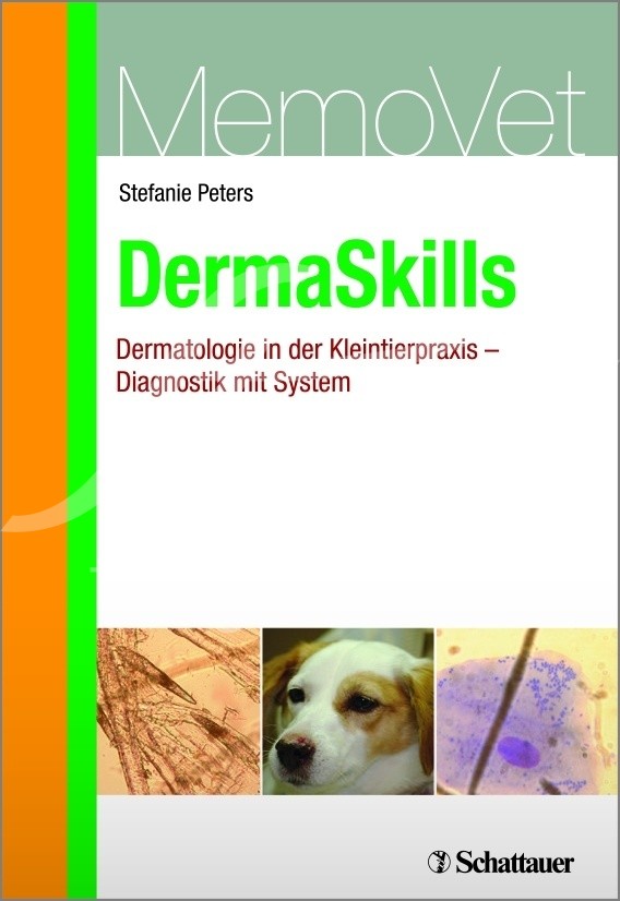 DermaSkills 1 Stück