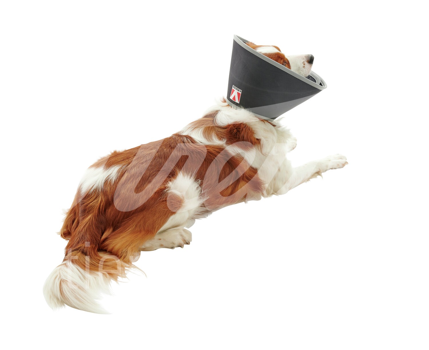 BUSTER Halskragen Foam Klett-Verschl. 7.5 cm 5 Stk. BUSTER Halskragen Foam Klett-Verschl. 7.5 cm 5 Stk.