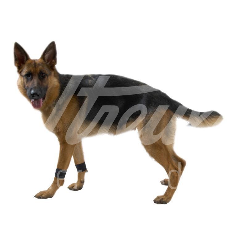 KRUUSE Rehab Hund Gewichtmanschette Gr. L 1 Paar