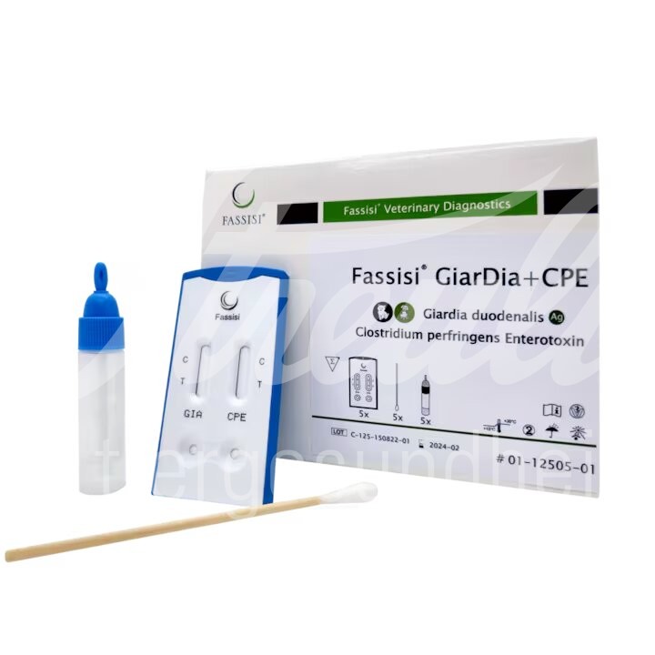Fassisi Schnelltest GiarDia+CPE DE 10 Stück