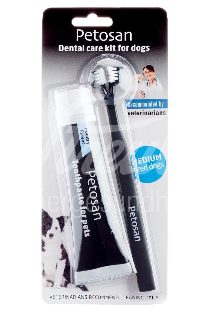 Petosan Dental-Kit, large (ab 16 kg) 1 Stück Petosan Dental-Kit, large (ab 16 kg) 1 Stück