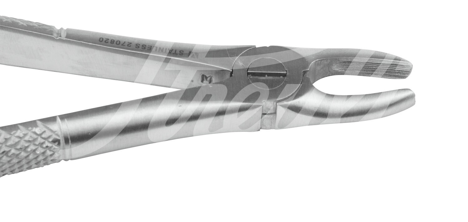 KRUUSE Extraktionszange gerade 17.0 cm 1 Stück