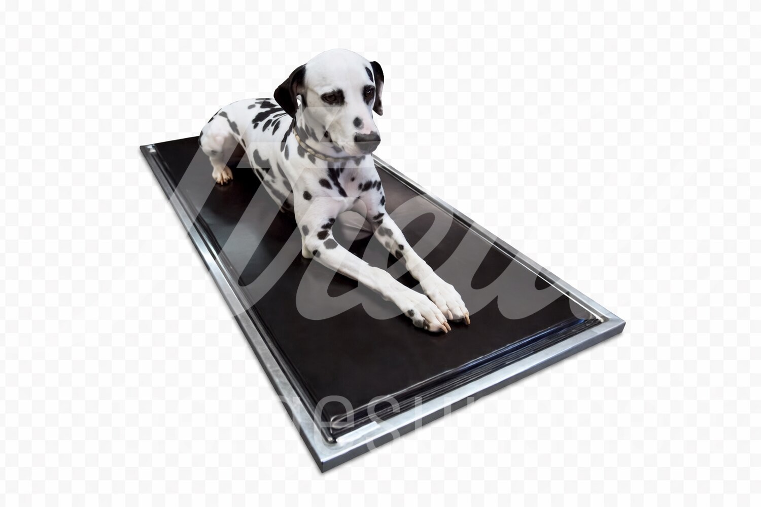 Dento Dorm Tisch Auflagematte gepolstert 125 x 55,5 cm 1 Stk.