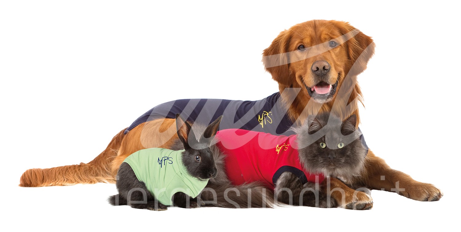 MPS Shirt Hund blau Gr. M+ 1 Stück MPS Shirt Hund blau Gr. M+ 1 Stück