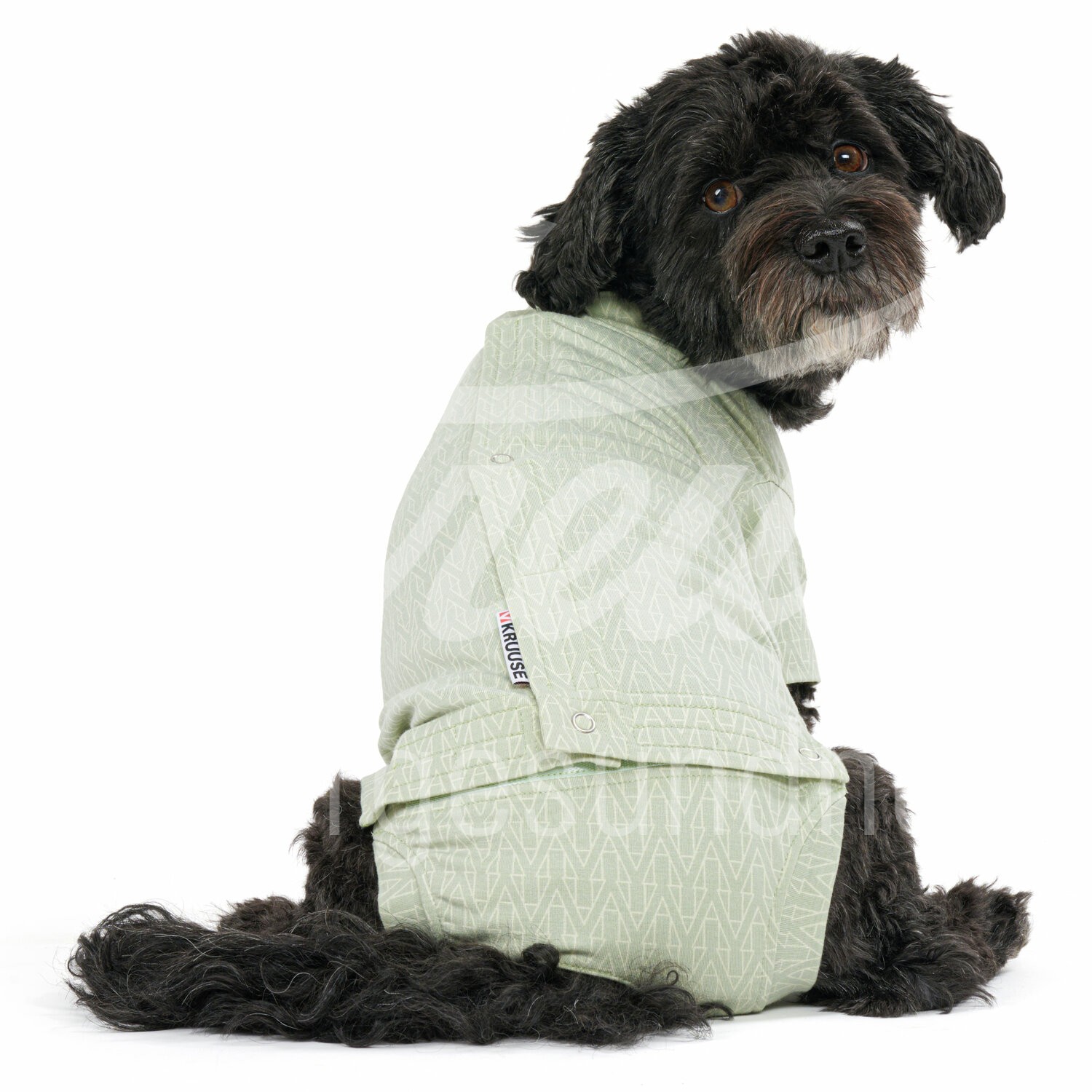 BUSTER Body Suit Step'n Go Bambus Hund Gr. S grün 1 Stk. BUSTER Body Suit Step'n Go Bambus Hund Gr. S grün 1 Stk.