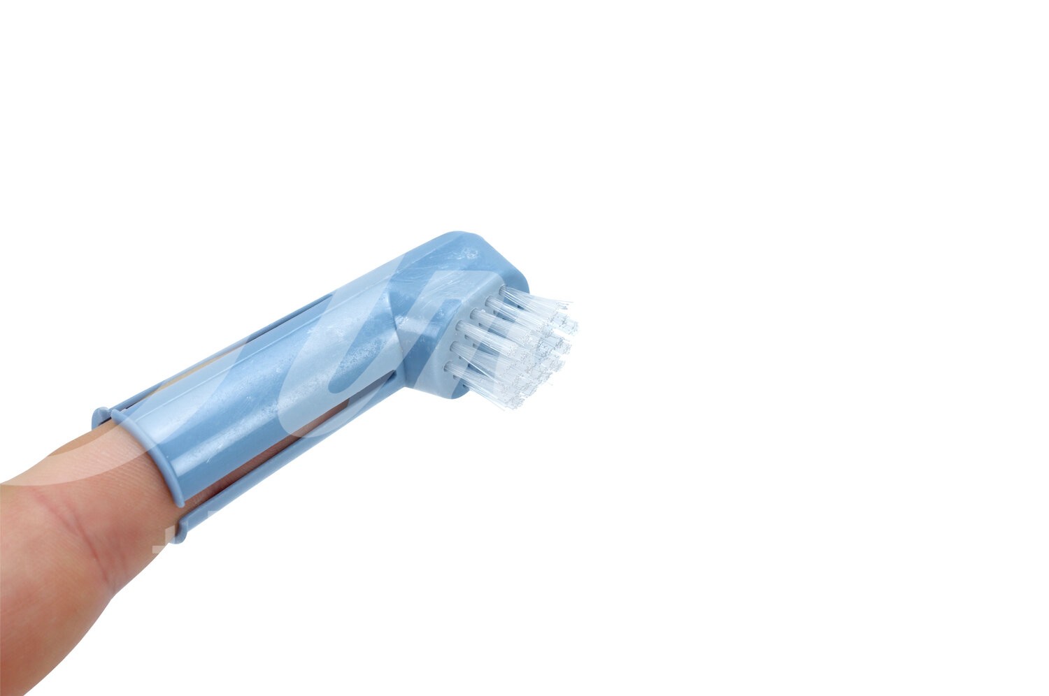 BUSTER Zahnpflegesatz 2 Fingerbürsten 1 Set BUSTER Zahnpflegesatz 2 Fingerbürsten 1 Set