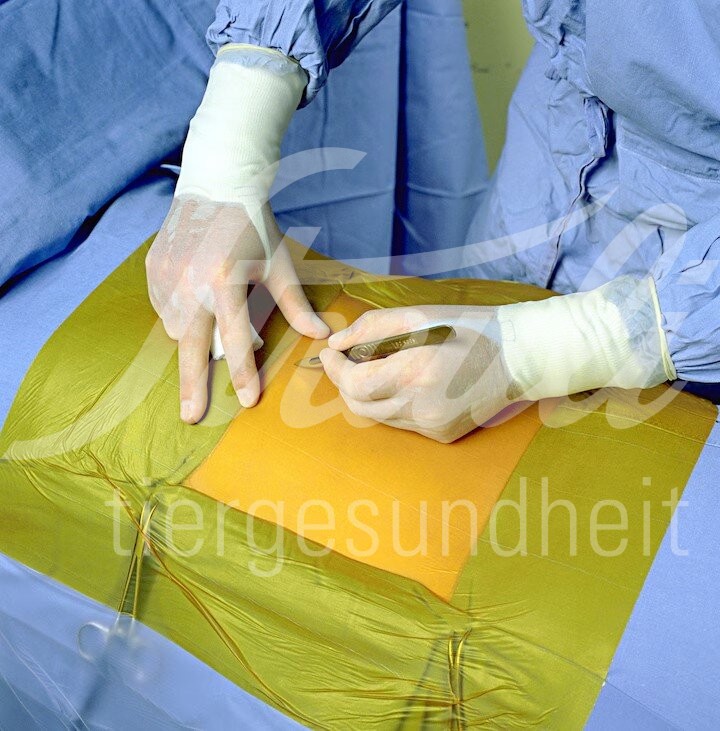 3M Ioban 2-Antimikrob. Inzisionsfolie, Klebefl. 10 x 20 cm 10 Stk. 3M Ioban 2-Antimikrob. Inzisionsfolie, Klebefl. 10 x 20 cm 10 Stk.