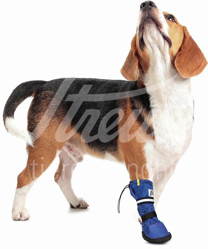 Medical PetS Boot L - 1 Stück