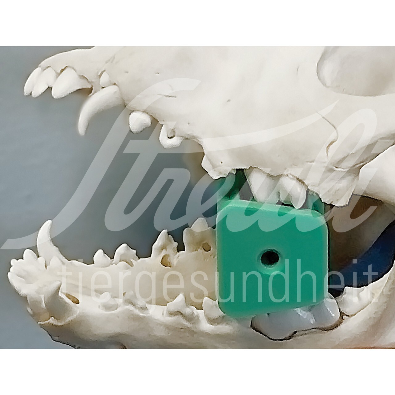 iM3 Maulkeil L aus Silikon 1 Stück