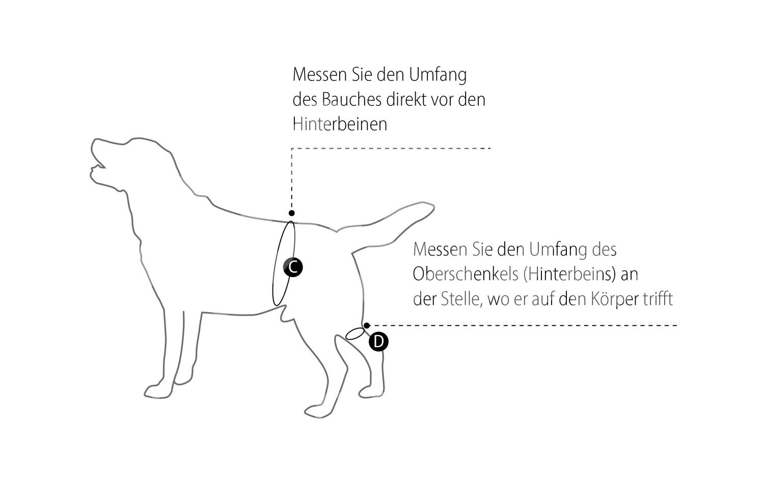 KRUUSE Rehab Tragehilfe Hinterbeine Gr. L 1 Stück KRUUSE Rehab Tragehilfe Hinterbeine Gr. L 1 Stück