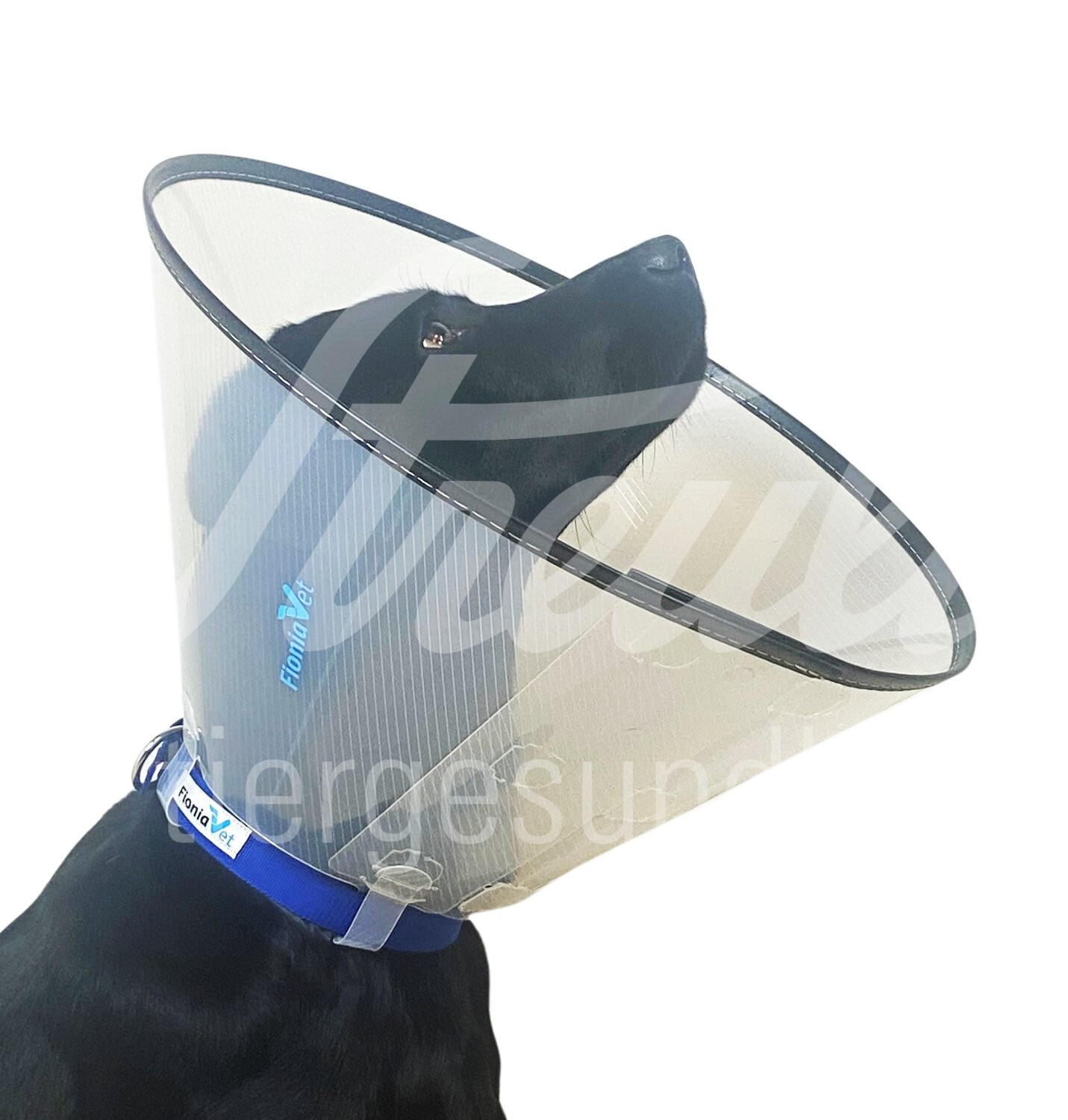 FV Halskragen Comfort transp. Schnell-Versch. 10 cm 5 Stück