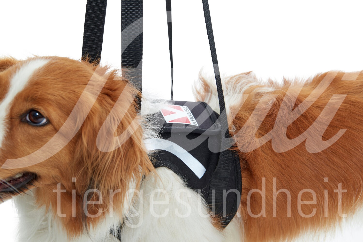KRUUSE Rehab Tragehilfe Vorderbeine Gr. L 1 Stück KRUUSE Rehab Tragehilfe Vorderbeine Gr. L 1 Stück