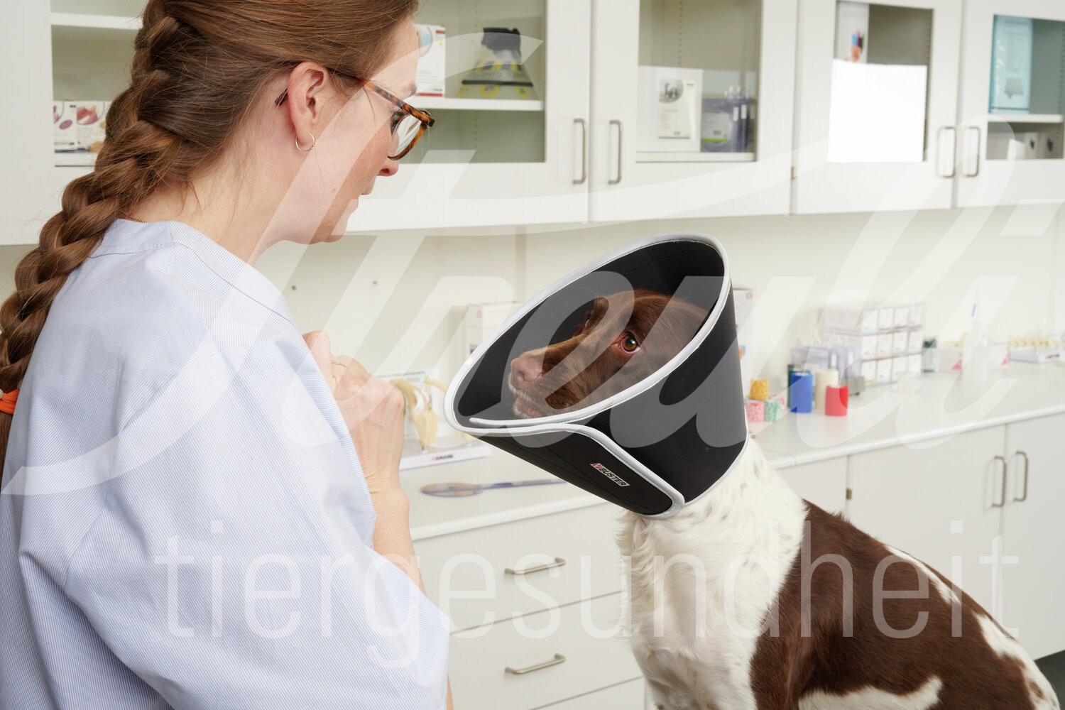 BUSTER Halskragen Foam Klett-Verschl. 7.5 cm 5 Stk. BUSTER Halskragen Foam Klett-Verschl. 7.5 cm 5 Stk.