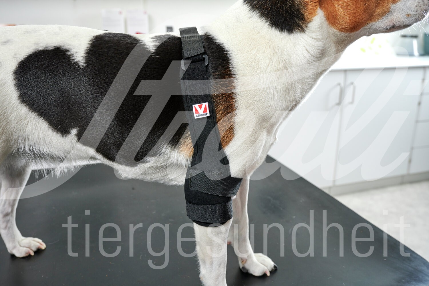 KRUUSE Rehab Pro Hund Elbogenschutz Gr. XS rechts 1 Stück