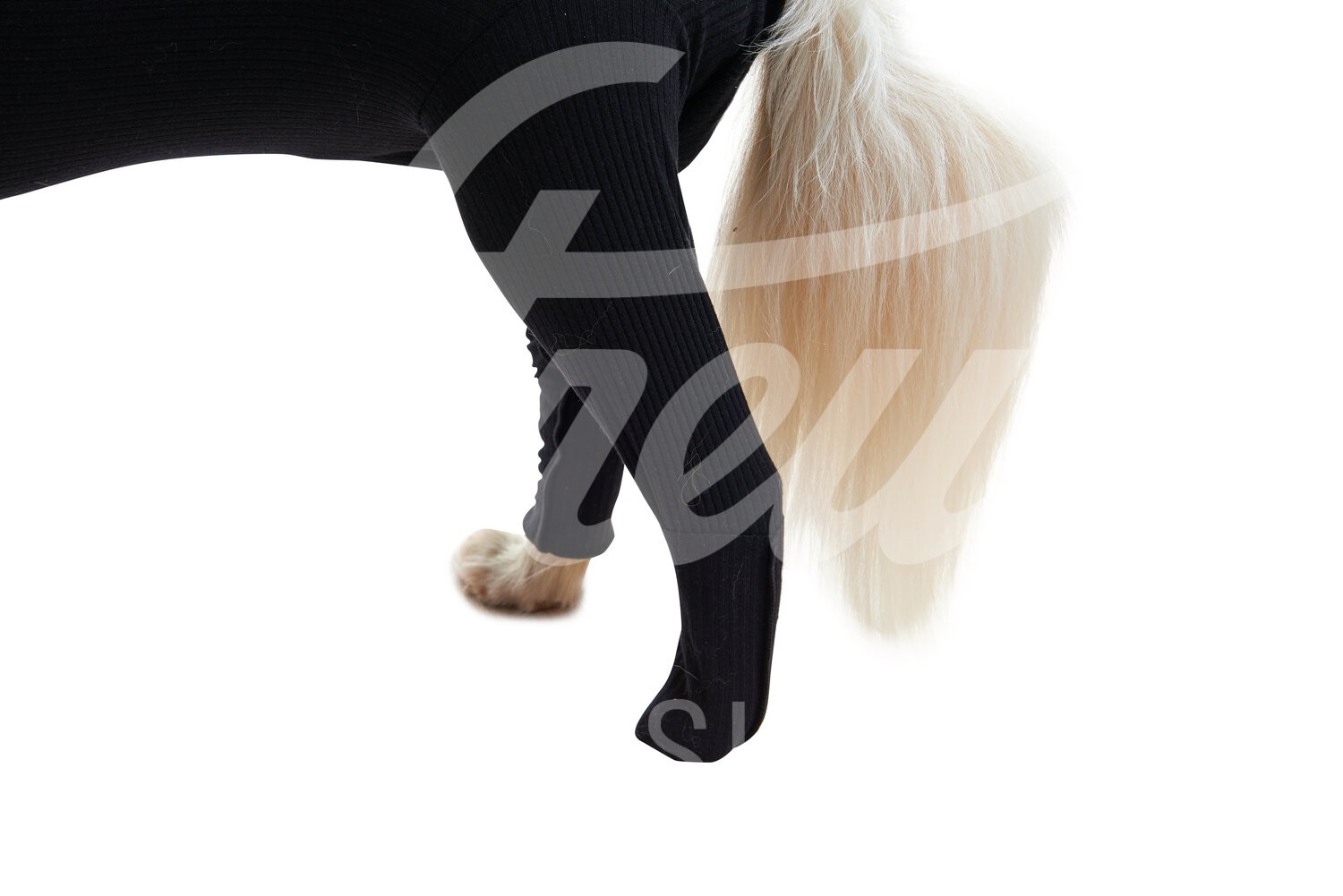 BUSTER Body Sleeve Hund o. Katze Hinterbein Gr. XXS 1 Stück