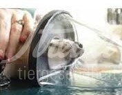 Narkosemaske Grösse XL, Eldridge 1 Stück