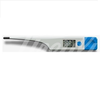 FV Vet 12 Grosstier Thermometer -gerade- 1 Stück