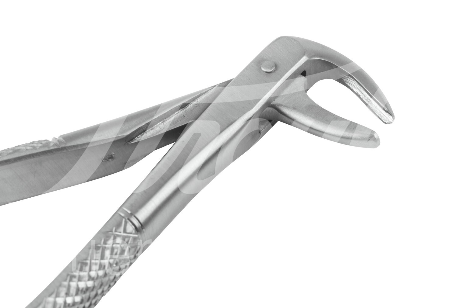 KRUUSE Extraktionszange gebogen 15.0 cm 1 Stück