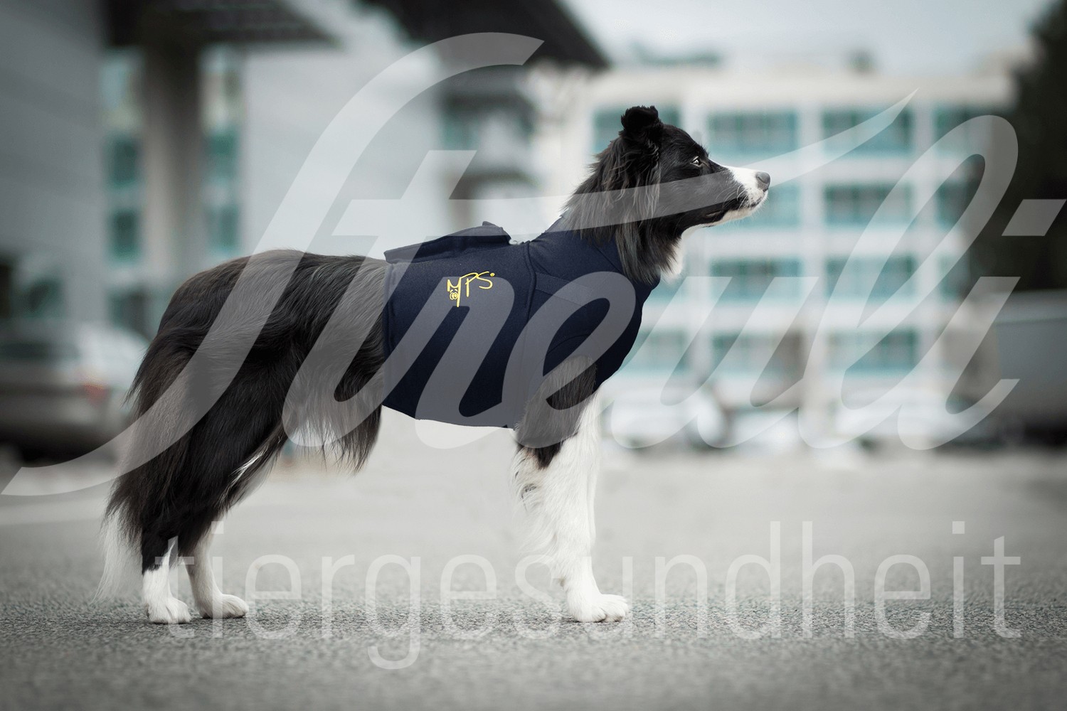 MPS Protective Top Shirt 4in1 Gr. M 1 Stück