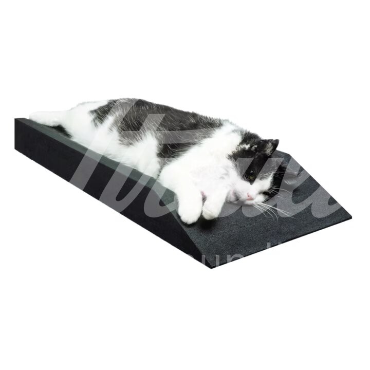 Dento Dorm Lagerungsmatte inkl. 4 Keilen 1 Stück