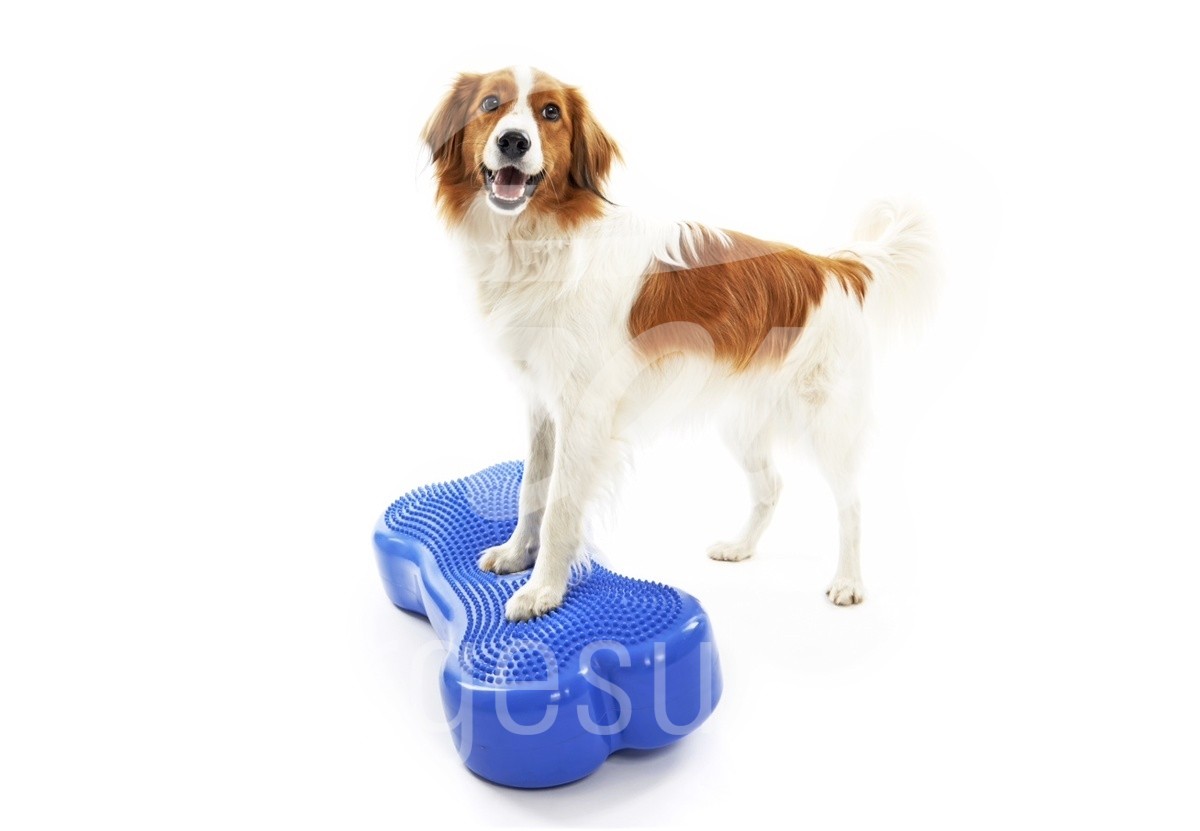 FitPaws K9 FitBone 1 Stück